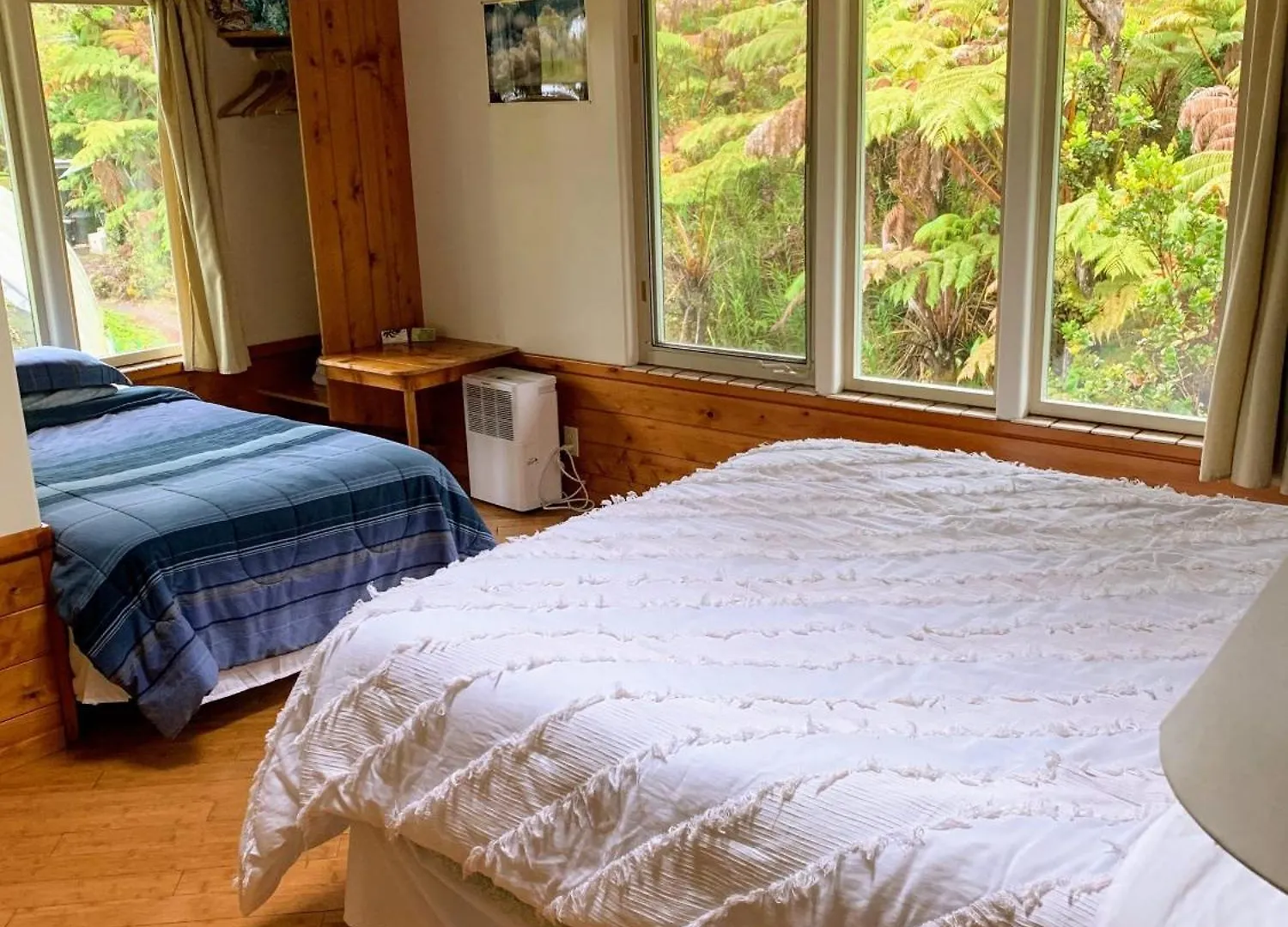 Lodge Volcano Inn Bed N Breakfast