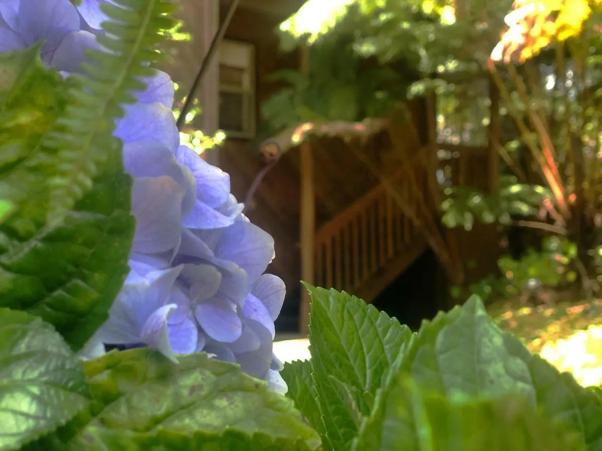Volcano Inn Bed N Breakfast Lodge