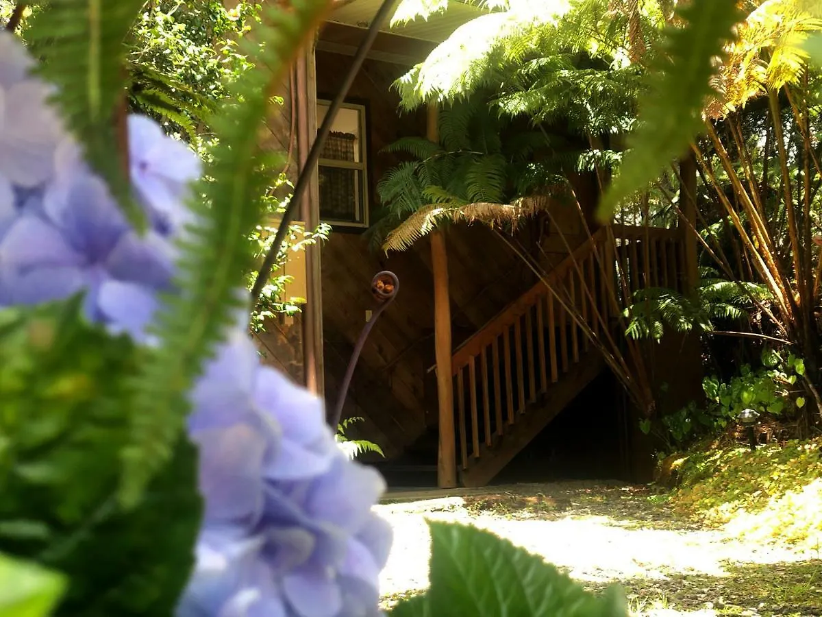 Lodge Volcano Inn Bed N Breakfast